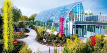 Glass Under the Needle: Dale Chihuly’s Homecoming