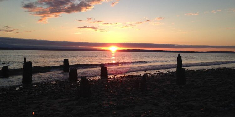 Golden Gardens Park: Seattle’s Sunset Sanctuary Where Land Meets Sea