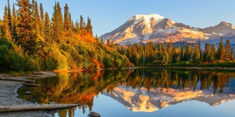 Mount Rainier National Park: Where Glaciers Meet Wildflowers and Wilderness Beckons