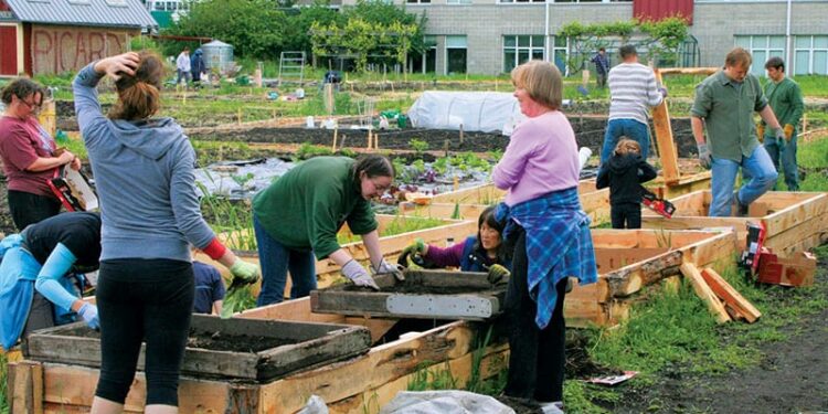 P-Patch Community Gardening Program: How a Handful of Dirt Changed an Entire City