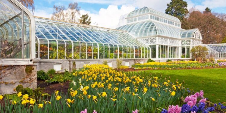 Volunteer Park Conservatory and Surrounding Trails: Seattle’s Victorian Jewel Box and the Olmsted Legacy