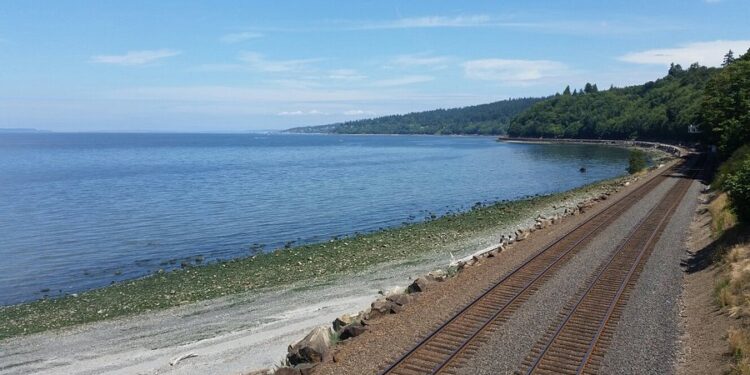 Carkeek Park: The Wild, Untamed Heart of the Emerald City