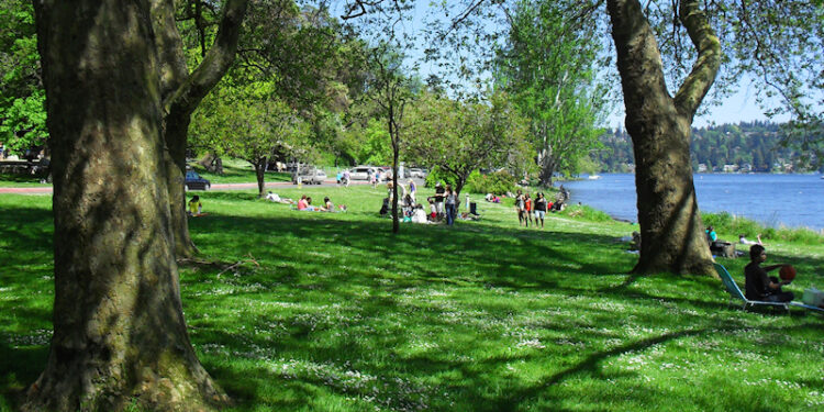 Seward Park in Seattle: The Ancient Forest the City Almost Lost