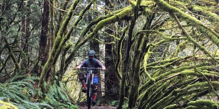 Tiger Mountain Trail System: Seattle’s Rugged Backyard Wilderness