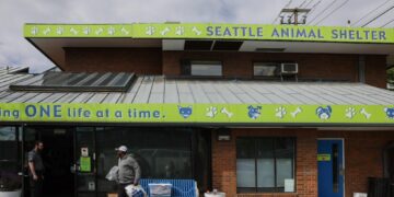 Seattle’s Animal Shelters: The Unsung Heroes Giving Pets a Second Chance