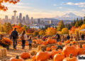 Pumpkin Patches in Seattle and Nearby: A Local’s Field Guide to Fall 2026