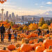 Pumpkin Patches in Seattle and Nearby: A Local’s Field Guide to Fall 2026